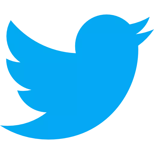 Twitter icon